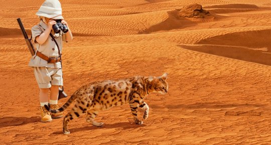 Egyptian holidays