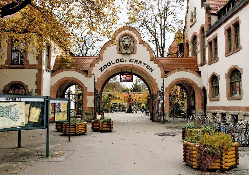 Лейпцигский зоопарк фото достопримечательностей