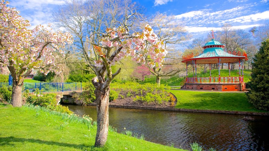 де погуляти в Ліверпулі Парк Сефтон фото